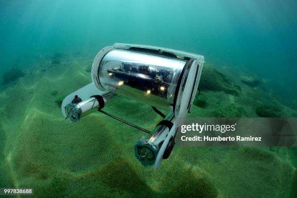 underwater rov. - perspectiva de un submarinista fotografías e imágenes de stock