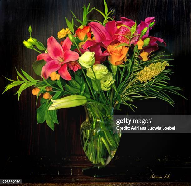 Loebel 417 Loebel Stock Photos, High-Res Pictures, and Images - Getty Images