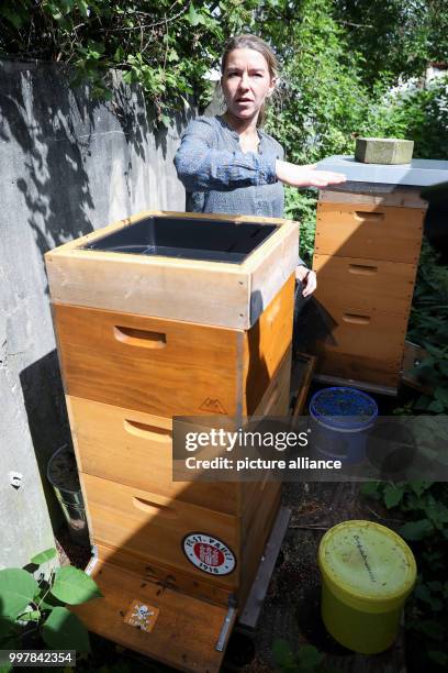 Beemaster Jetta-Leena Ramcke stands next to her beehives during a press conference in Hamburg, Germany, 4 August 2017. The soccer club St. Pauli...