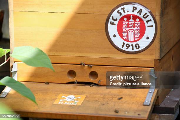 Bees are flying into their beehive in Hamburg, Germany, 4 August 2017. The soccer club St. Pauli sponsors two bee colonies to better its ecological...
