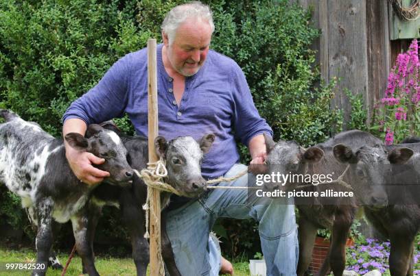 Farmer Hansjoerg Braun sits between his four calves on his farm in Gruenenbach, Germany, 4 August 2017. Elsa, Carlos, Leo and Stella are two weeks...