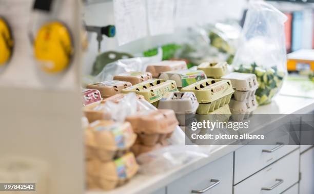 Numerous egg boxes are standing in the veterinary enquiry office in Muenster, Germany, 4 August 2017. Official warnings of Fipronil-contaminated egg...