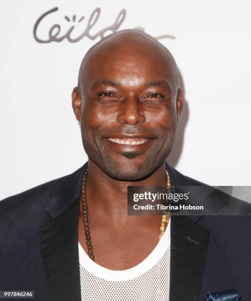 Jimmy Jean-Louis attends the Kings and Queens Art Exhibition at Hills Penthouse on July 12, 2018 in West Hollywood, California.