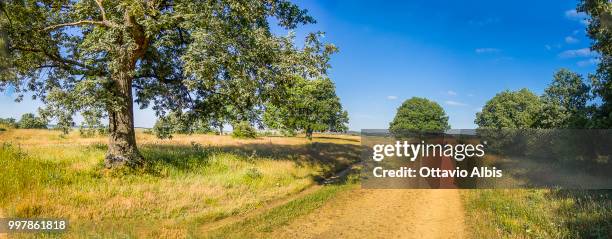 camino frances - ages - caminho stock pictures, royalty-free photos & images