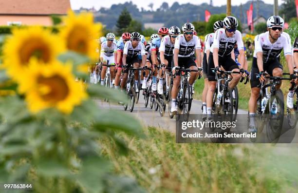 Christopher Froome of Great Britain and Team Sky / Gianni Moscon of Italy and Team Sky / Luke Rowe of Great Britain and Team Sky / Sunflowers /...