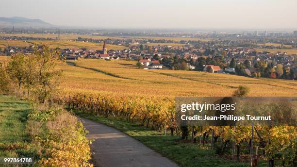 Colmar Rural 24 Wettolsheim Stock Photos, High-Res Pictures, and Images - Getty Images