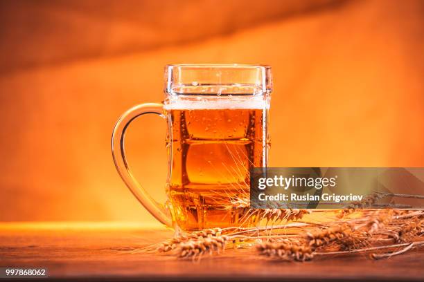 mug of light beer with ears of wheat on the wooden table - wheat beer stock pictures, royalty-free photos & images