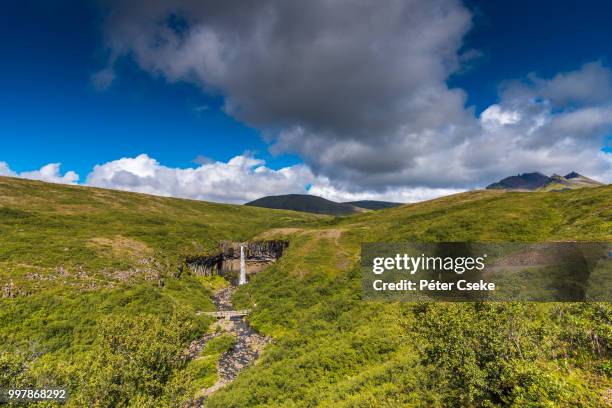 skaftafell national park - skaftafell national park stock pictures, royalty-free photos & images