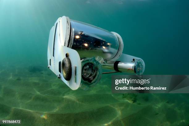 underwater rov. - perspectiva de un submarinista fotografías e imágenes de stock
