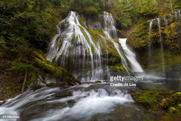 panther creek in gifford pinchot national forest - gifford pinchot national forest stock pictures, royalty-free photos & images