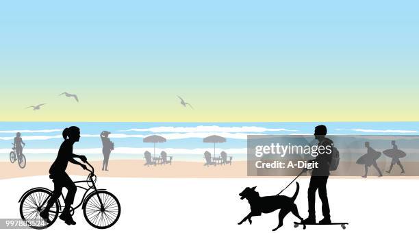 stockillustraties, clipart, cartoons en iconen met longboard strand wandelen hond - boardwalk