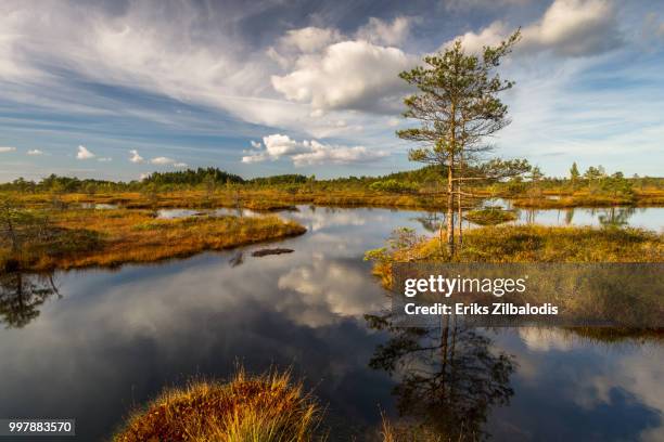 mg - lettland landschaft stock-fotos und bilder