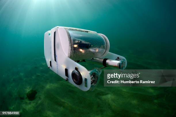 underwater rov. - taucherperspektive stock-fotos und bilder