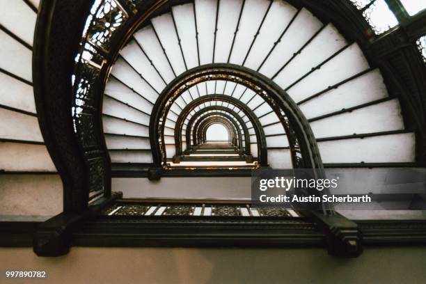 the rookery - rookery stock pictures, royalty-free photos & images