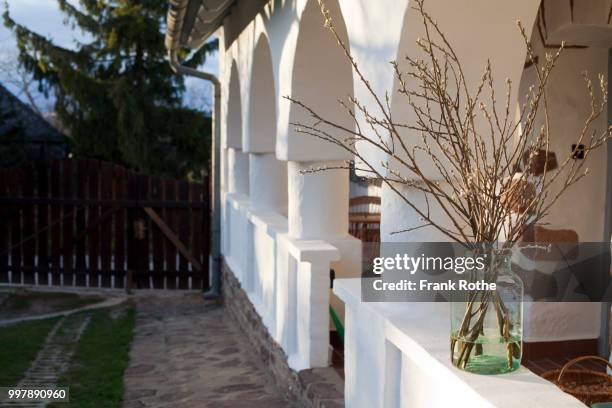 a nice farmers house in the early spring sun - hungary countryside stock pictures, royalty-free photos & images