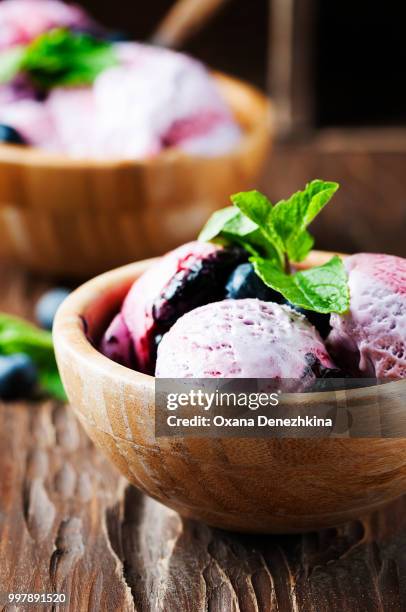 ice-cream with blueberry and mint - mint ice cream stock pictures, royalty-free photos & images