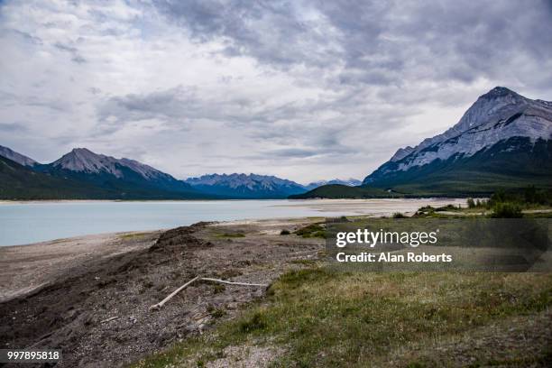 abraham lake - abraham lake stockfoto's en -beelden