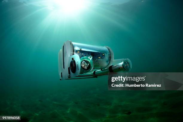 underwater rov. - perspectiva de un submarinista fotografías e imágenes de stock