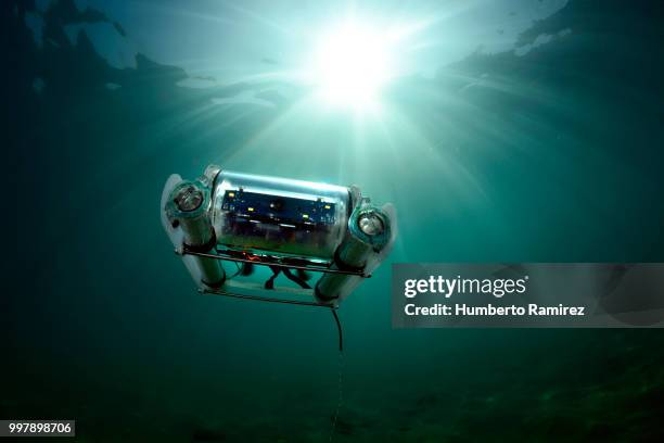 underwater rov. - perspectiva de un submarinista fotografías e imágenes de stock