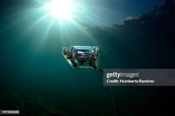 underwater rov. - scuba diver point of view stock pictures, royalty-free photos & images