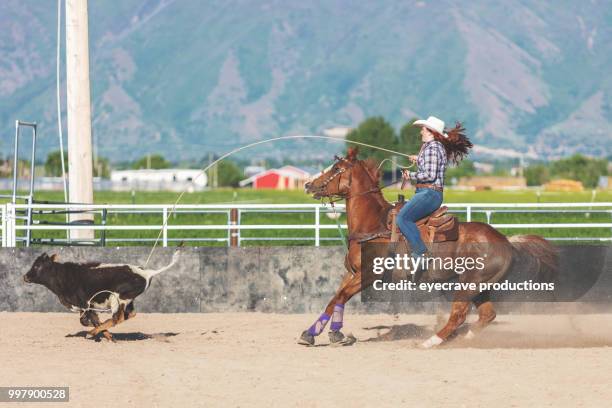 branding at sunrise utah cowboy cowgirl western outdoors and rodeo stampede roundup riding horses herding livestock - livestock branding stock pictures, royalty-free photos & images
