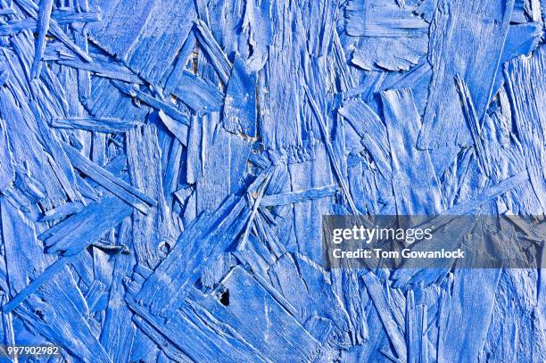 blue plywood - bacillus subtilis stock pictures, royalty-free photos & images