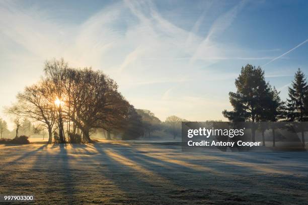 Mornin Photos and Premium High Res Pictures - Getty Images