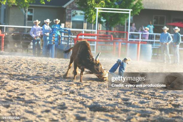 utah cowboy steer wrestling western outdoors and rodeo stampede roundup riding horses herding livestock - eyecrave stock pictures, royalty-free photos & images