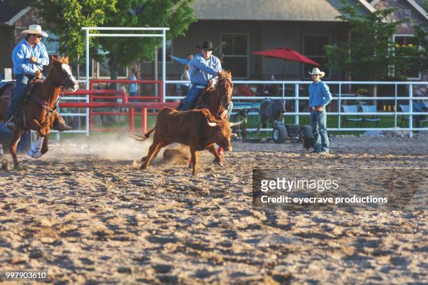 utah cowboy steer wrestling western im freien und rodeo stampede roundup reitpferde vieh hüten - eyecrave stock-fotos und bilder