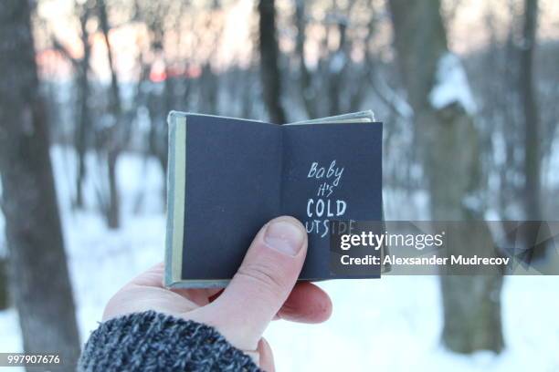 baby its cold outside. winter holiday lettering on the book. - animal hand stock pictures, royalty-free photos & images