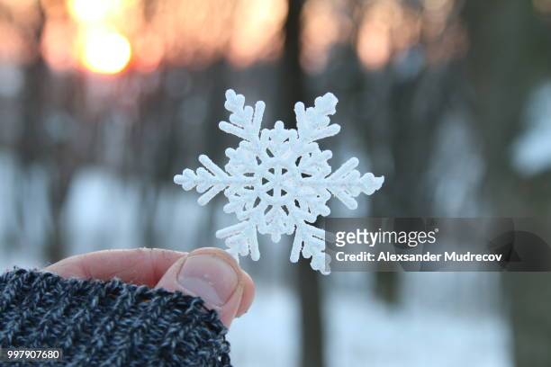 cold or frost idea, hand holding a snowflake - animal hand stock pictures, royalty-free photos & images