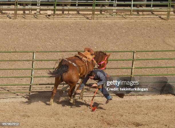 Nutria Rodeo 436 Mustang Stadium Stock Photos, High-Res Pictures, and Images - Getty ...