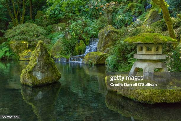 portland tea garden - jardín japonés fotografías e imágenes de stock