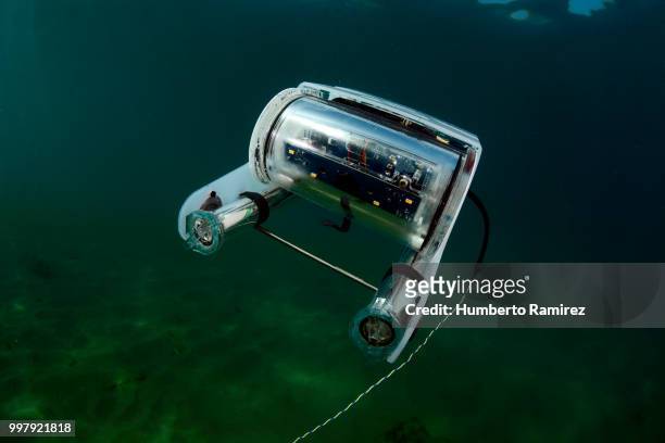 underwater rov. - taucherperspektive stock-fotos und bilder