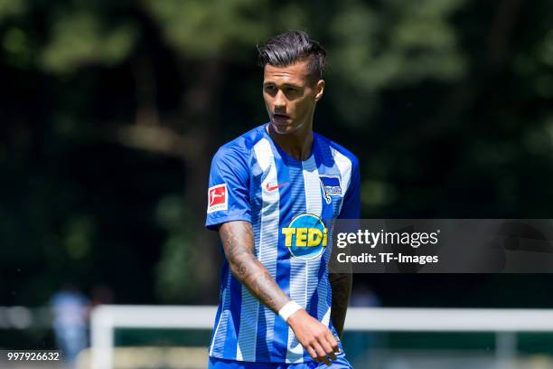 Davie Selke of Hertha BSC looks on during the TEDi-Cup match between Hertha BSC and Westfalia Herne on July 8, 2018 in Herne, Germany.