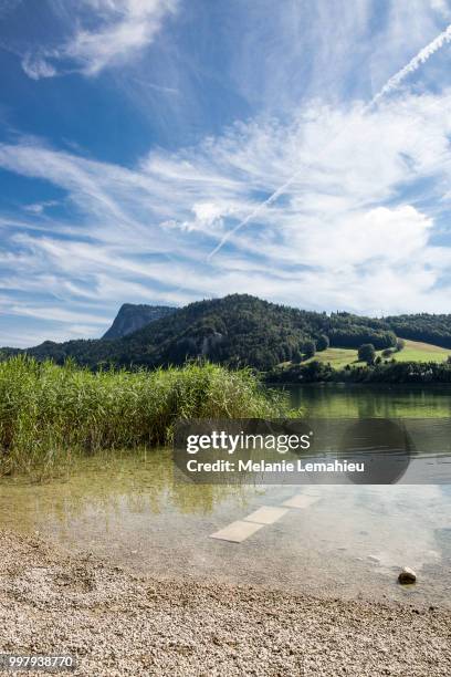 summer landscape of brenet lake near le pont, canton de vaud, switzerland - vaud canton stockfoto's en -beelden