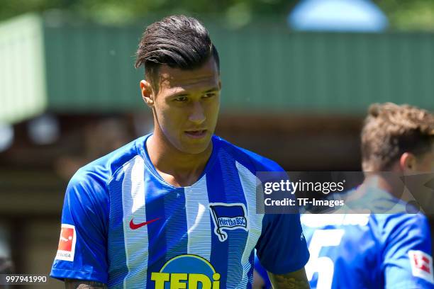 Davie Selke of Hertha BSC looks on during the TEDi-Cup match between Hertha BSC and Westfalia Herne on July 8, 2018 in Herne, Germany.