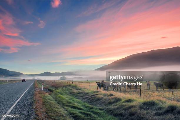 good luck in the new year - good luck stockfoto's en -beelden