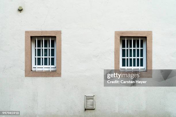 button nose - transfer print stock pictures, royalty-free photos & images