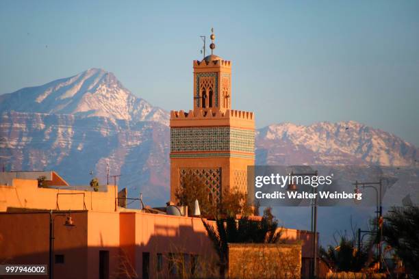 minarett in marrakesh - weinberg bildbanksfoton och bilder
