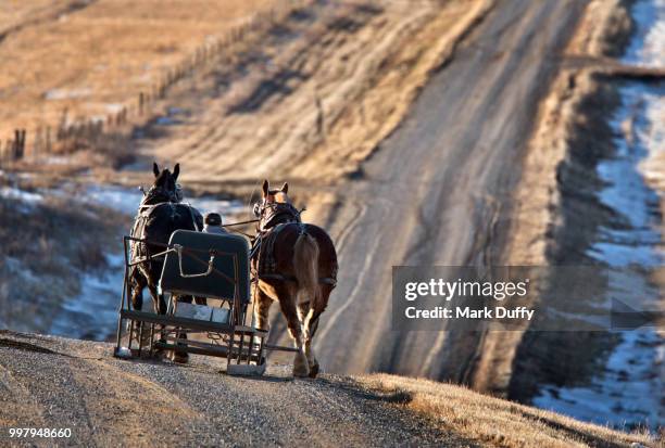 horse drawn - mark duffy stock pictures, royalty-free photos & images