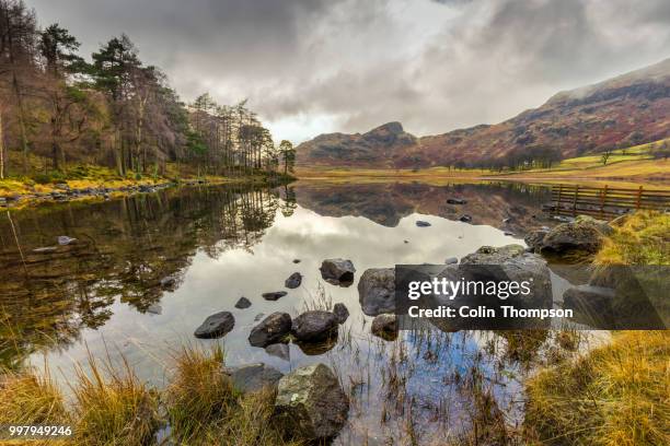 bleak blea tarn - blea tarn stock pictures, royalty-free photos & images