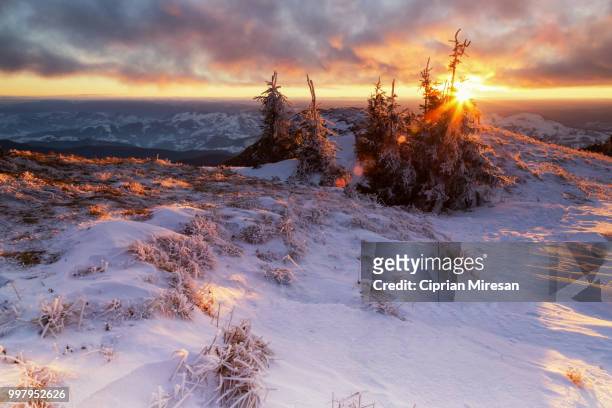sunset in mountains - ciprian foto e immagini stock