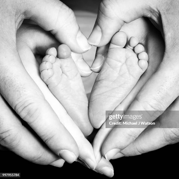 mum and dad's heart - michael virtue stock pictures, royalty-free photos & images