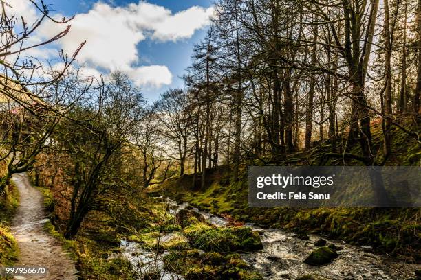 afon rhaeadr ii - sanu stock pictures, royalty-free photos & images