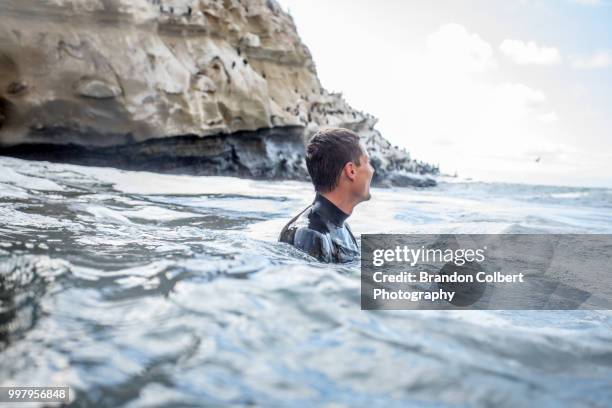 la jolla cove underwater - underwater camera stock pictures, royalty-free photos & images