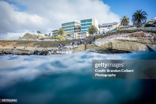 la jolla cove underwater - unterwasserkamera stock-fotos und bilder