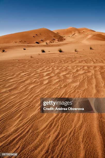 sahara desert, erg chebbi, morroco - morroco stockfoto's en -beelden