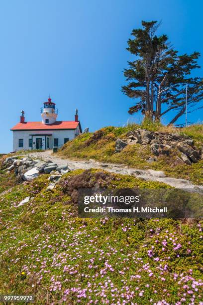 ca-crescent city-battery point light - crescent city stock pictures, royalty-free photos & images