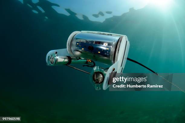 underwater rov. - perspectiva de un submarinista fotografías e imágenes de stock